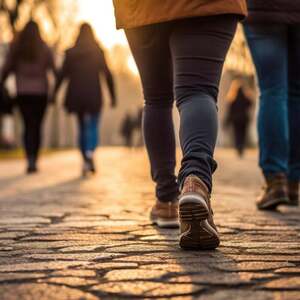 Fundraising Page: Anne Whitaker